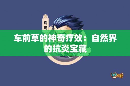 车前草的神奇疗效：自然界的抗炎宝藏