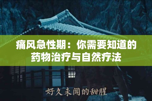 痛风急性期：你需要知道的药物治疗与自然疗法