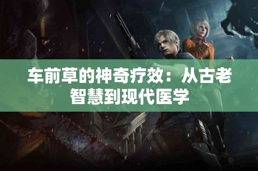 车前草的神奇疗效：从古老智慧到现代医学