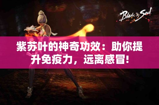 紫苏叶的神奇功效：助你提升免疫力，远离感冒!