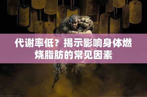 代谢率低？揭示影响身体燃烧脂肪的常见因素