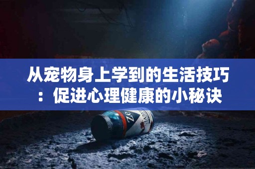 从宠物身上学到的生活技巧：促进心理健康的小秘诀