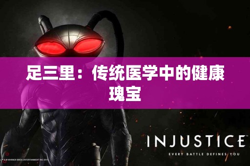 足三里：传统医学中的健康瑰宝