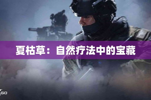 夏枯草：自然疗法中的宝藏