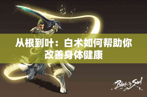从根到叶：白术如何帮助你改善身体健康