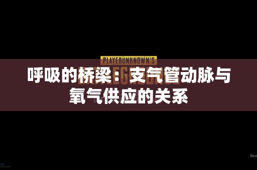 呼吸的桥梁：支气管动脉与氧气供应的关系