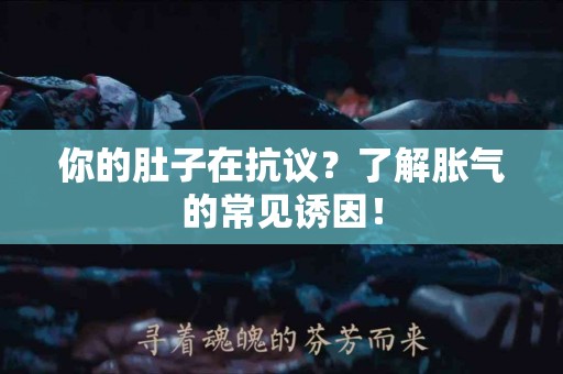 你的肚子在抗议？了解胀气的常见诱因！
