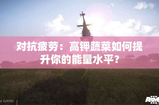 对抗疲劳：高钾蔬菜如何提升你的能量水平？