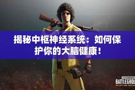 揭秘中枢神经系统：如何保护你的大脑健康！