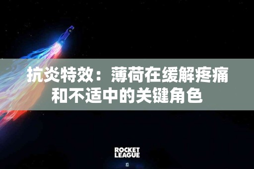 抗炎特效：薄荷在缓解疼痛和不适中的关键角色