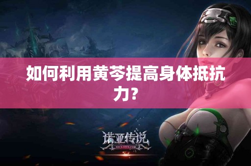 如何利用黄芩提高身体抵抗力？