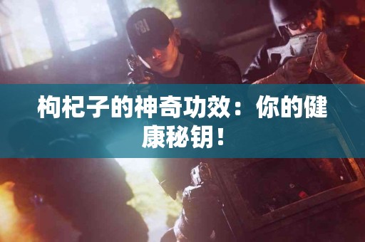 枸杞子的神奇功效：你的健康秘钥！