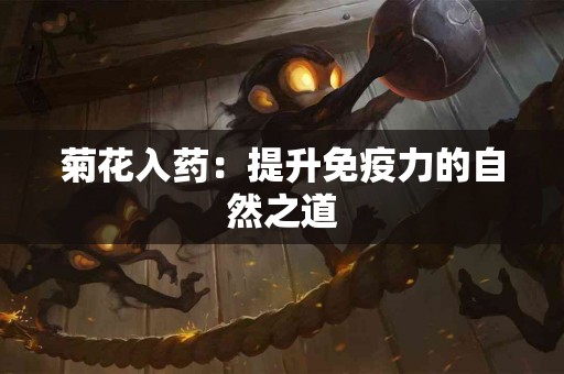 菊花入药：提升免疫力的自然之道