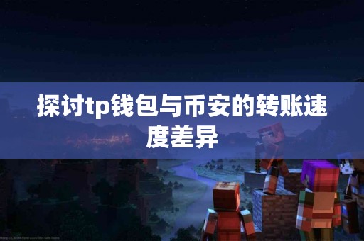 探讨tp钱包与币安的转账速度差异
