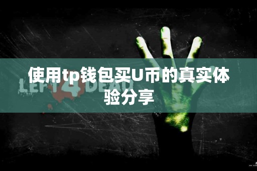 使用tp钱包买U币的真实体验分享