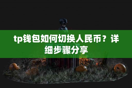 tp钱包如何切换人民币？详细步骤分享