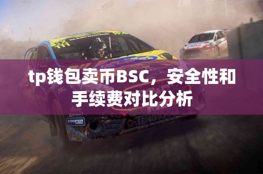 tp钱包卖币BSC，安全性和手续费对比分析
