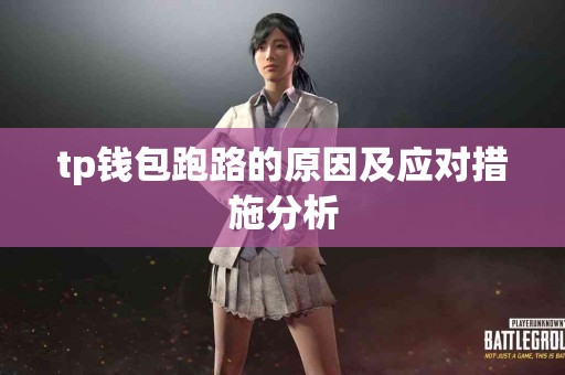 tp钱包跑路的原因及应对措施分析