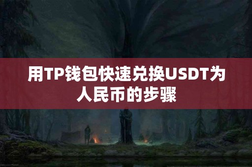 用TP钱包快速兑换USDT为人民币的步骤
