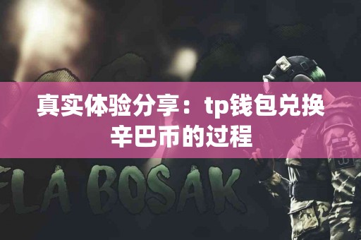 真实体验分享：tp钱包兑换辛巴币的过程