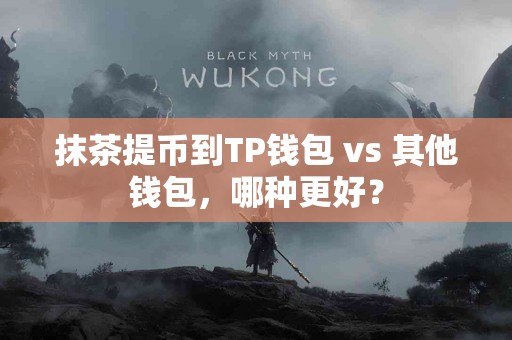 抹茶提币到TP钱包 vs 其他钱包，哪种更好？