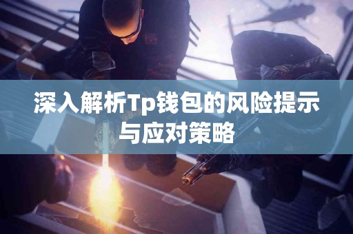 深入解析Tp钱包的风险提示与应对策略