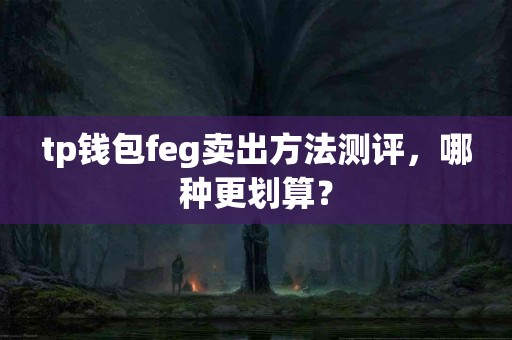 tp钱包feg卖出方法测评，哪种更划算？