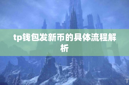 tp钱包发新币的具体流程解析