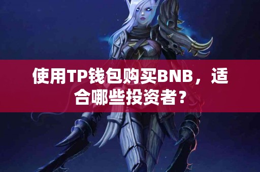 使用TP钱包购买BNB，适合哪些投资者？