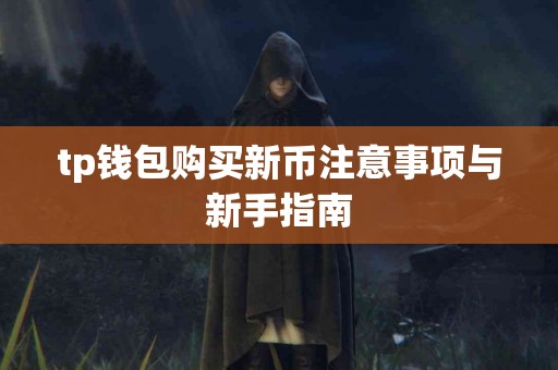 tp钱包购买新币注意事项与新手指南