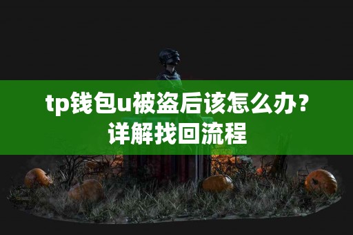 tp钱包u被盗后该怎么办？详解找回流程