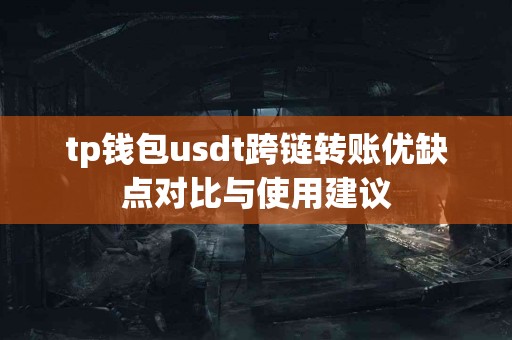 tp钱包usdt跨链转账优缺点对比与使用建议