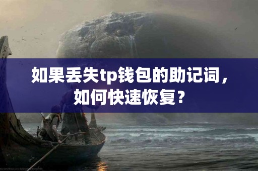 如果丢失tp钱包的助记词，如何快速恢复？