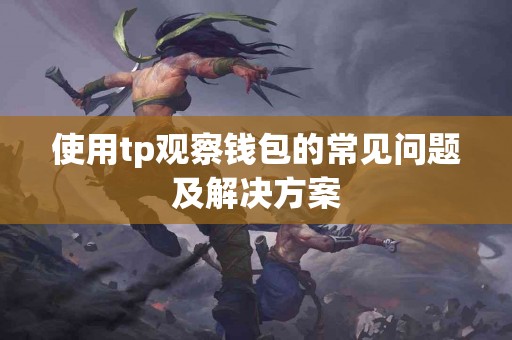 使用tp观察钱包的常见问题及解决方案