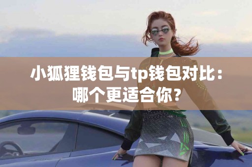 小狐狸钱包与tp钱包对比：哪个更适合你？