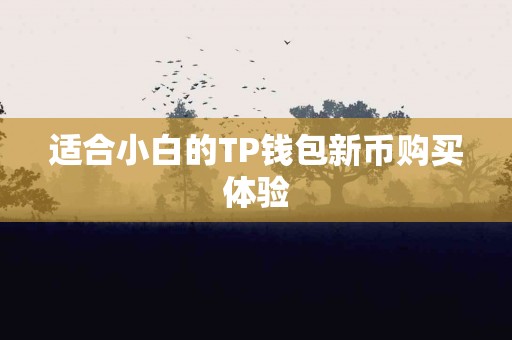 适合小白的TP钱包新币购买体验