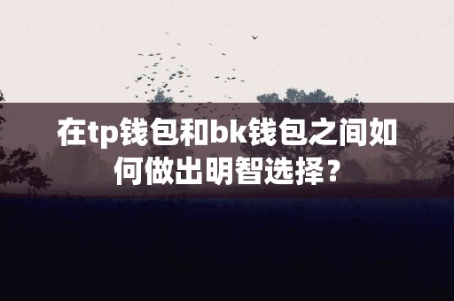 在tp钱包和bk钱包之间如何做出明智选择？