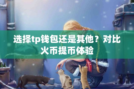 选择tp钱包还是其他？对比火币提币体验
