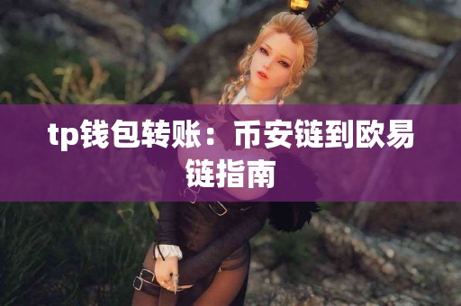 tp钱包转账：币安链到欧易链指南
