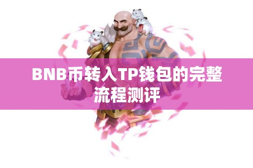 BNB币转入TP钱包的完整流程测评