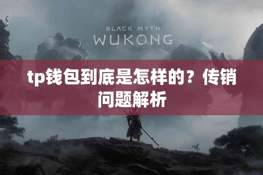 tp钱包到底是怎样的？传销问题解析