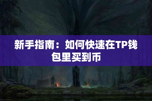 新手指南：如何快速在TP钱包里买到币