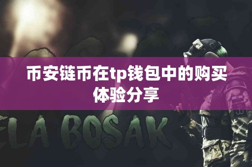 币安链币在tp钱包中的购买体验分享