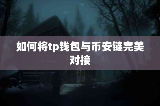 如何将tp钱包与币安链完美对接