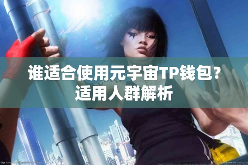 谁适合使用元宇宙TP钱包？适用人群解析
