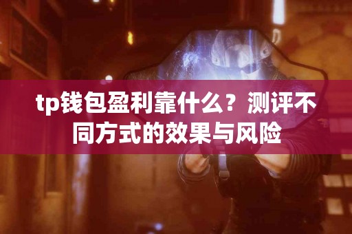 tp钱包盈利靠什么？测评不同方式的效果与风险