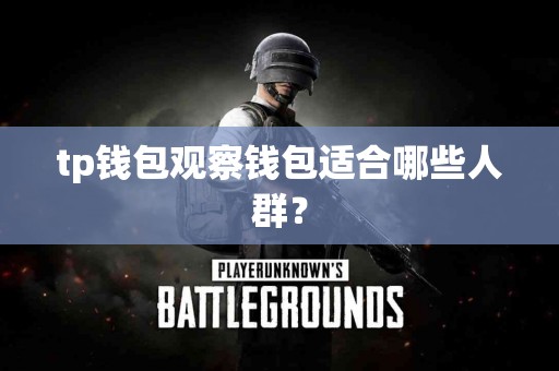 tp钱包观察钱包适合哪些人群？