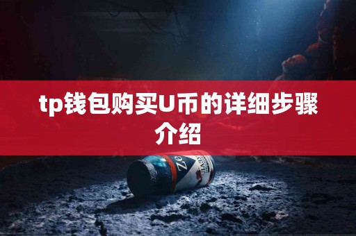 tp钱包购买U币的详细步骤介绍