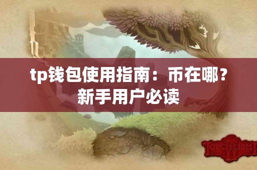 tp钱包使用指南：币在哪？新手用户必读