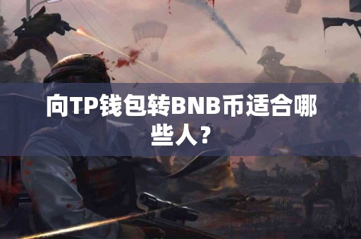 向TP钱包转BNB币适合哪些人？